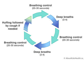 Active cycle of breathing
