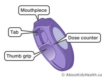 Illustration of Diskus inhaler showing the mouthpiece, tab, thumb grip and dose counter