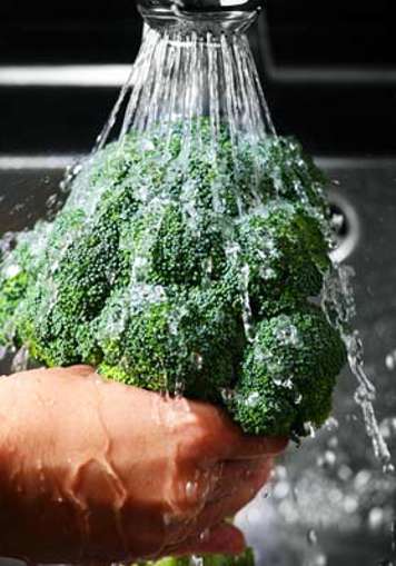 Washing a head of broccoli
