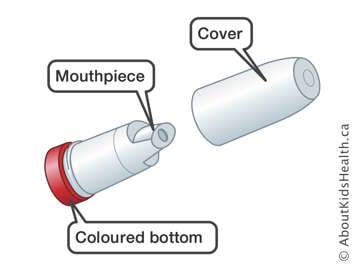 Turbuhaler showing the coloured bottom, mouthpiece and cover